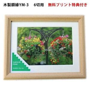 ؐz tWJ[ YM-3 6 ؒn y Vv 6؃TCYp }bg䎆 vgTt