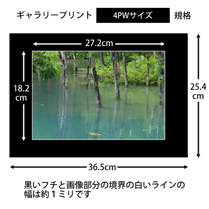 楽天市場】ギャラリープリント 4PWサイズ 高級額縁に入れたよう