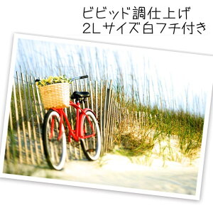 FIvg nCL[ mX^WbN@rrbh@mN@ZsAIׂ 2LTCY