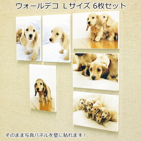 楽天市場 写真プリントの通販