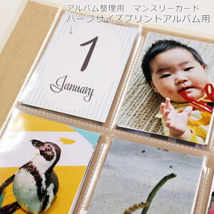 Ao }X[J[h L^ ^Cg n[tTCYvgp 16Zbg 