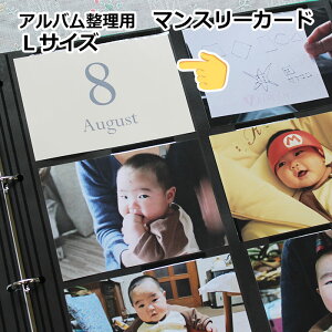 Ao }X[J[h L^ ^Cg LTCYp 16Zbg 