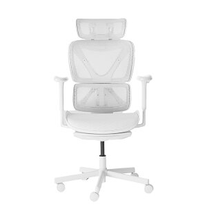 y COFO Chair Pro z ItBX`FA fXN`FA lԍHw nCobN ItBX`FA bV tbgXg NCjO p\R`FA [N`FA NCjO`FA ItBX`