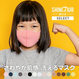 【 送料無料 】【個包装】SHINPUR MASK マスク 洗える 夏用 冷感マスク | 布マスク キッズ ラージ 送料無料 グレー UV メンズ レディース 血色 立体 カラー こども UVカット ひんやりマスク 接触冷感 立体 子供 大人 小さめ 3d 涼感 おしゃれ