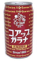 ベイシア 小原 コアップガラナ 500ml×24本 コアップガラナZERO24本 500mlペットボトル ふるさと納税 人気 おすすめ ランキング コアップガラナ ガラナ ゼロカロリー 道産子ソウルドリンク 北海道代表 ご当地 北海道 七飯町 送料無料 NAQ008