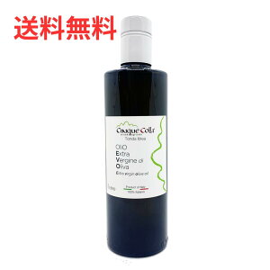 GLXgo[WI[uIC `NGRb 500mL g_CuA t[eB[ŐS̍ i C^A V`A O厏 ܎ ؁EނƑQ oC[
