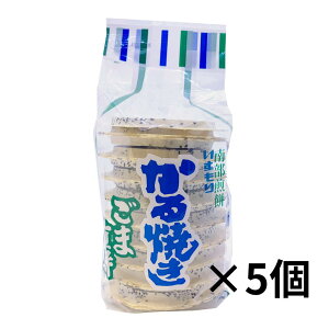 Ăܐ݁@@19×5܁yX̖z암݁@V܁@S}ׂ@Ӗ