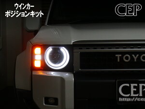 N250p ECJ[|WVLbg Ver2.0@ECJ[ |WV fCCg  _ A USDM hN[U[