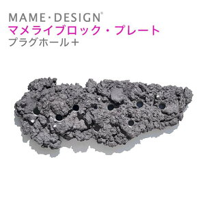 tO} lHCubN }CubN v[gvOz[vX