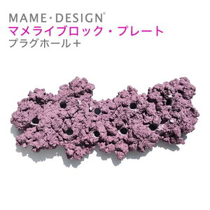 tO} lHCubN }CubN v[gvOz[vX