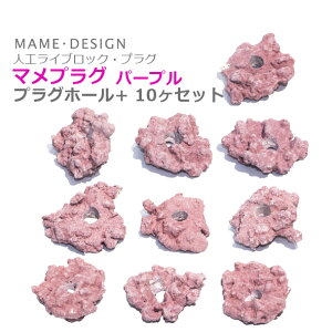 lH CubN TSpvO}vO vOz[+ @p[v