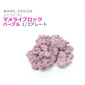 マメライブロック 1/3プレート