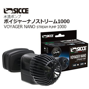 SICCE|v{CW[im 1000