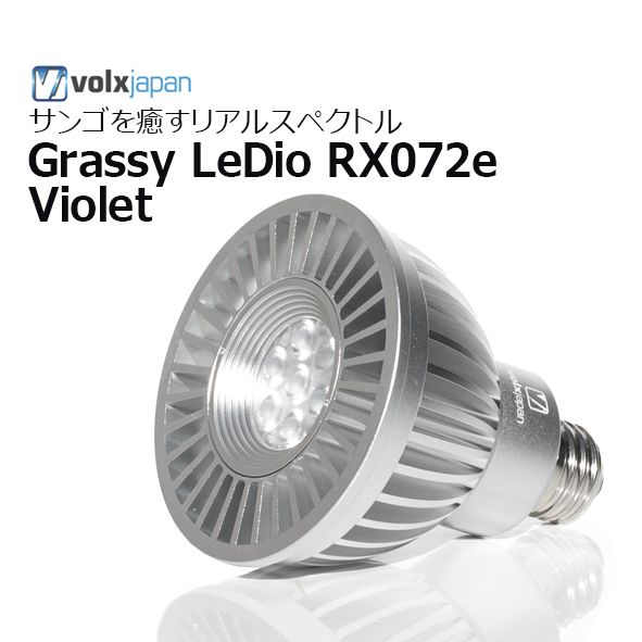 楽天市場】ボルクスジャパン・Grassy LeDio RX072e Violetグラッシー
