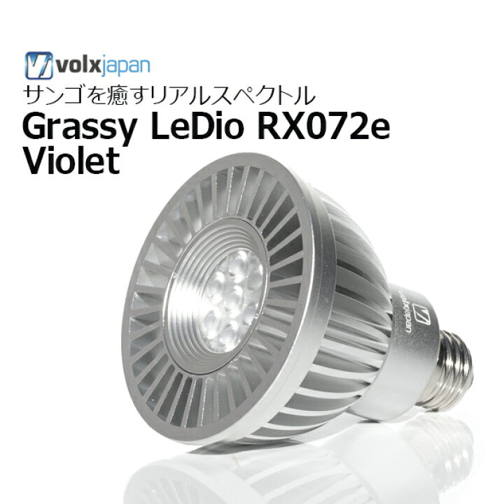 楽天市場】ボルクスジャパン・Grassy LeDio RX072e Violetグラッシー 