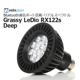 ボルクスジャパン・Grassy LeDio RX122S Deepグラッシーレディオ　RX122Sディープ　黒