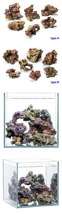 楽天市場】☆ライブロック10kg（5kg×2セット） : CEPPO WEB SHOP