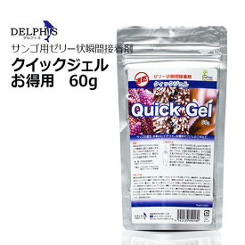 デルフィスクイックジェル　60g