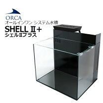 楽天市場】シェル2 水槽の通販
