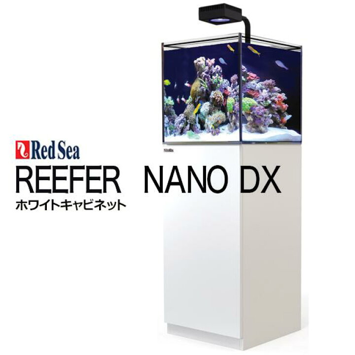 楽天市場】レッドシー REEFER NANO DX : CEPPO WEB SHOP 