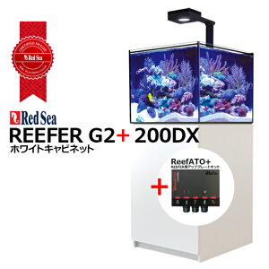 bhV[REEFER 200DX G2+
