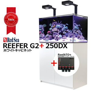 bhV[REEFER 250DX G2+