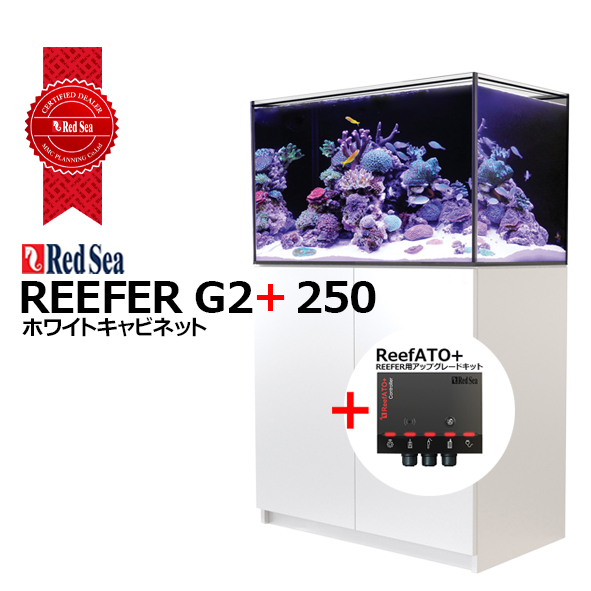 RedSea<br>REEFER 250 G2  <br>ホワイトキャビネット<br>