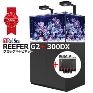 bhV[REEFER 300DX G2 +