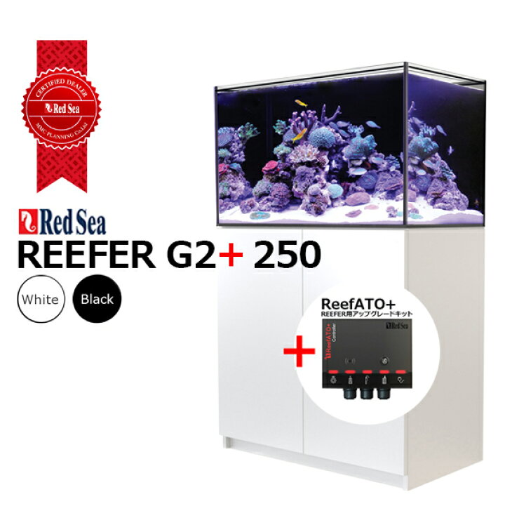 楽天市場】☆処分価格・残り1台☆レッドシーREEFER 250 G2+ : CEPPO 