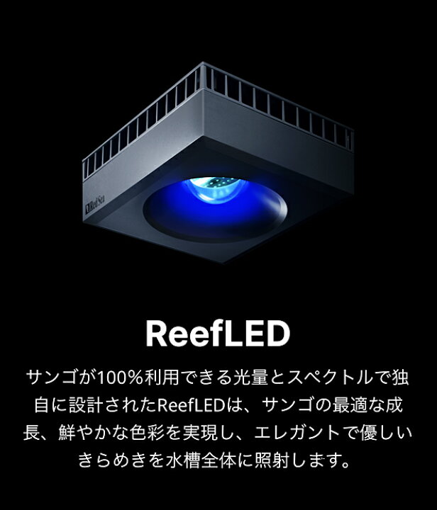 楽天市場】レッドシーREEFER MAX 170 G2+ REEFER MAX G2+シリーズ 