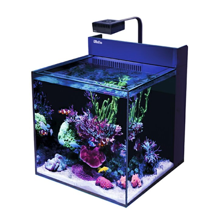 楽天市場】レッドシー マックスナノG2 MAX NANO G2 XL : CEPPO WEB SHOP