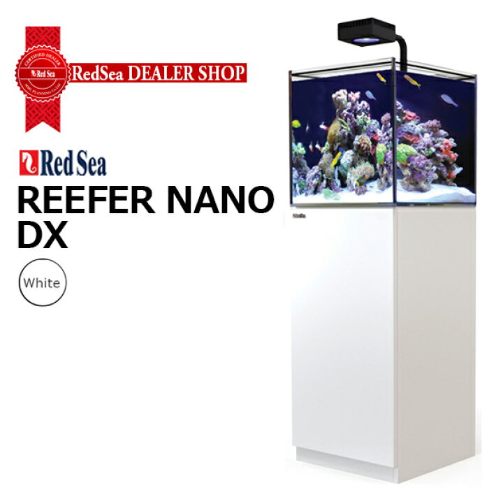 楽天市場】レッドシー REEFER NANO DX : CEPPO WEB SHOP