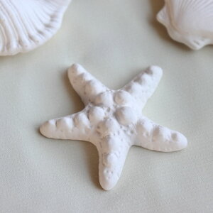 V[x[X A}Xg[ { ˏ { fXNA} A}v[g fĂ C L qgf VF  r[`  fBt[U[ Xg[fBt[U[