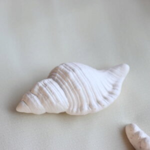 V[x[X A}Xg[ { ˏ { fXNA} A}v[g fĂ C L qgf VF  r[`  fBt[U[ Xg[fBt[U[