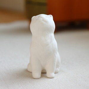 LALbg A}Xg[ { ˏ { fXNA} A}v[g fĂ Lbg L lR ˂ z z fBt[U[ Xg[fBt[U[