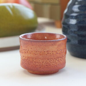 ~̉Ԉ { Z ̂ ۂ  u u  傱   { M  aH a ϕ AC{[J[ \݌Ɍ H