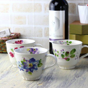 tԊG }OJbv 310mll Z { Z }O }OJbv ItBX R[q[Jbv Jbv Rbv g  t ݂₷ aH a ϕ H 