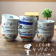 スヌーピー 世界旅行シリーズ サラダボール 日本製 美濃焼 snoopy peanuts ピーナッツ スヌーピー キャラ…