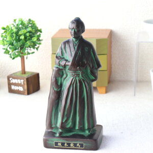 { 21cm u j u tBMA  uY d ͂ A I  @ ו܂k ̊Q ͖_ ڍ׊o  |pi ӏܗp i ]