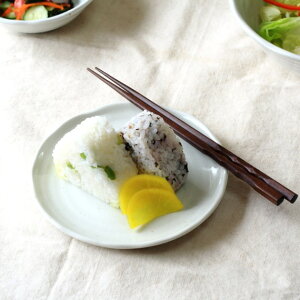  16.5cmM ǂȗɂ킹܂ M ێM amH ãXC[c H Y Z 󂠂