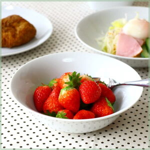 fC[zCg 16.5cmt[c{[ g₷͔Q {E Vv H ƖpΉ Y Z 󂠂