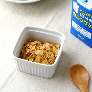 XNGARRbg{[ 10cmg₷傫ŖHg܂I 󂠂