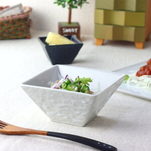 Xg XNGAT_{E 12.5cm { Z 傫 pX^M pM v[g M M tbg Xe[L [Lxc u߂̎M ICXv[g v[g