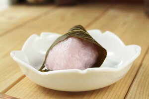 ̐ 10cm M  t t ݖM ֗  zƂ ANZT[P[X ēׂ͓ Y Z 󂠂