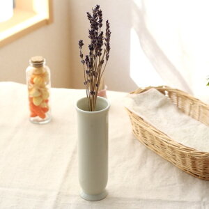 גԕr e[uʂւ̉Ԃɓ ֍ ԓ J[l[V Vv Y Z 󂠂