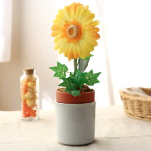 Vvv^[ ϗtAĂ悤 v^[  ͔| y ϗtA Y Z 󂠂