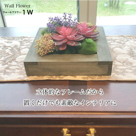 楽天市場 多肉植物 壁掛けの通販
