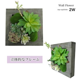楽天市場 多肉植物 壁掛けの通販 楽天市場 多肉植物 壁掛けの通販