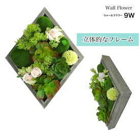 楽天市場 フレーム 多肉 壁の通販