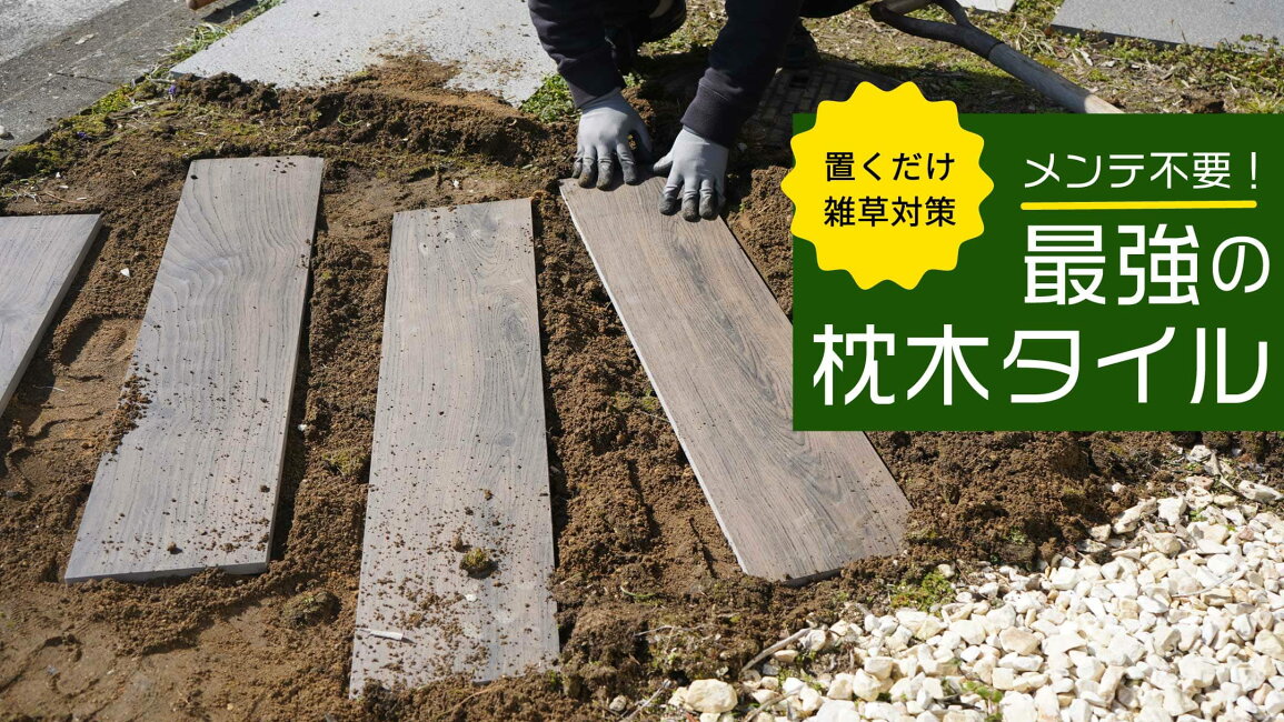楽天市場 | インテリアショップ セラコア - 腐らない・色褪せない 